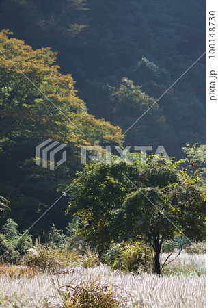 鳥取 四季の散歩 赤波川の甌穴 鳥取 四季の散歩 赤波川の甌穴 100148730