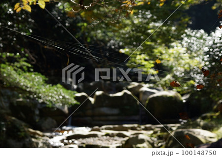 鳥取 四季の散歩 赤波川の甌穴 鳥取 四季の散歩 赤波川の甌穴 100148750