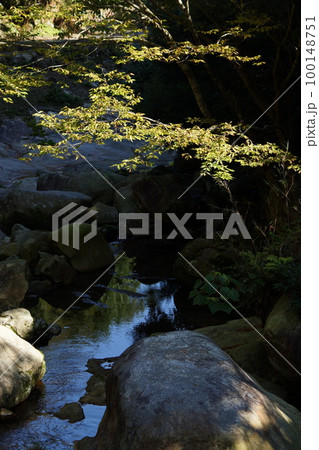 鳥取　四季の散歩　赤波川の甌穴 100148751