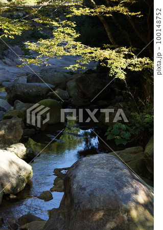 鳥取　四季の散歩　赤波川の甌穴 100148752