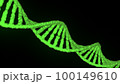 シンプルなDNAイメージ 100149610