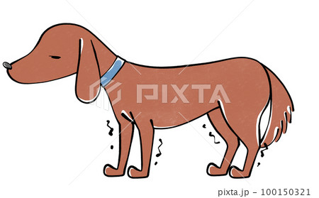 足が震える犬のイラスト 100150321