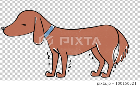 足が震える犬のイラスト 100150321