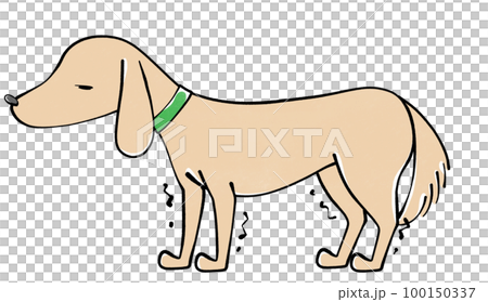 Illustration of a dog with trembling legs Illustration of a dog with trembling legs 100150337