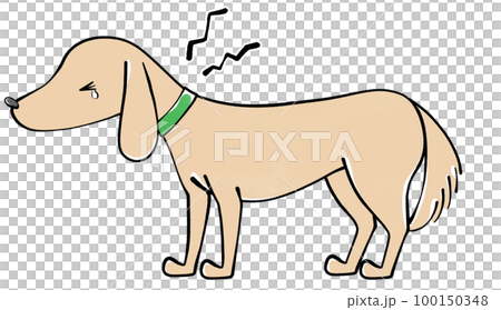 一隻脖子酸痛的狗的插圖 一隻脖子酸痛的狗的插圖 100150348