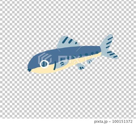 Illustration of a cute sardine 100151372