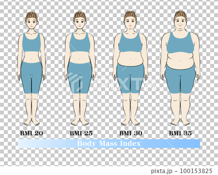 Change in body shape by BMI index of young women Body mass index illustration vector 100153825