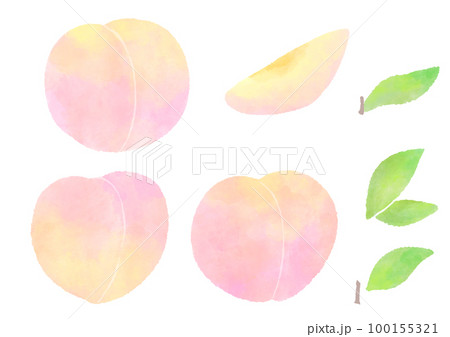 熟した桃の果実とカットフルーツ かわいい手描きの水彩イラストセット 100155321