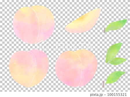 熟した桃の果実とカットフルーツ かわいい手描きの水彩イラストセット 100155321