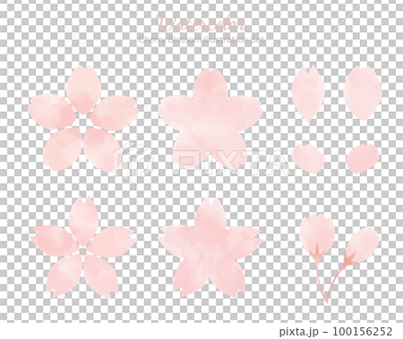 Hand drawn watercolor style cherry blossom illustration set 100156252
