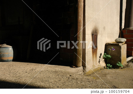 鳥取 四季の散歩 板井原集落 鳥取 四季の散歩 板井原集落 100159704