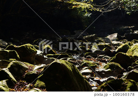 鳥取　四季の散歩　板井原集落 100160378