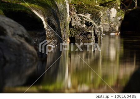 鳥取 四季の散歩 板井原集落 鳥取 四季の散歩 板井原集落 100160488