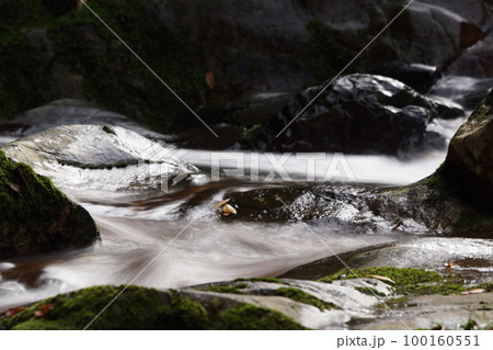 鳥取 四季の散歩 板井原集落 鳥取 四季の散歩 板井原集落 100160551