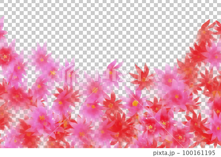 Easter cactus flower garden card Easter cactus flower garden card 100161195