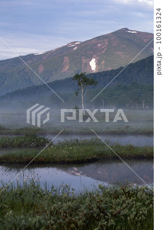 尾瀬　池塘の朝 100161324