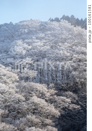 冬の絶景　凍り付く森 100161581