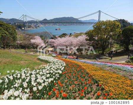 火の山公園トルコチューリップ園　関門橋と船 100162895