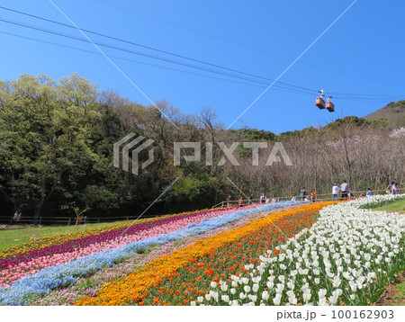 火の山公園トルコチューリップ園とロープウェイ 100162903