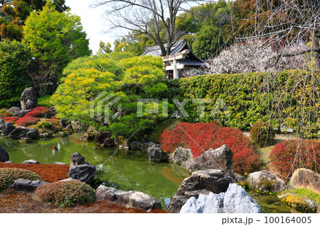 【京都府】城南宮の満開の梅 【京都府】城南宮の満開の梅 100164005