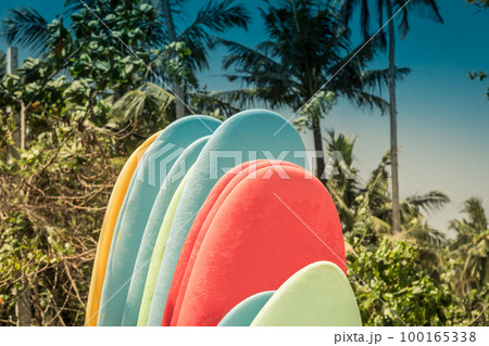 Set of different color surfboards on sandy beach seacoast. Set of different color surfboards on sandy beach seacoast. 100165338