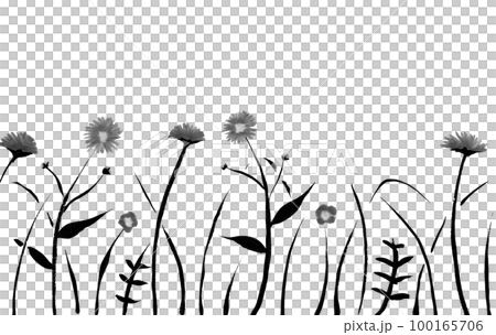 Background monochrome illustration of spring flowers (ink hand-drawn illustration) 100165706