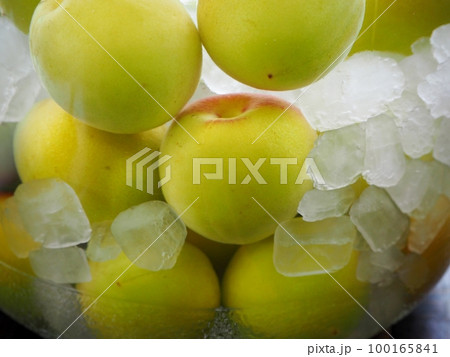 梅酒作り 100165841