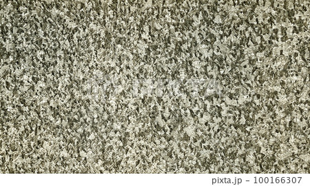 Wall Surface 100166307