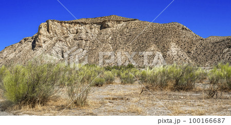 Tabernas Desert Nature Reserve, Almeria, Spain Tabernas Desert Nature Reserve, Almeria, Spain 100166687
