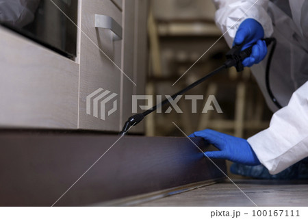 An exterminator in work clothes sprays pesticides with a spray gun. Fight against insects in apartments and houses. Disinsection of the premises An exterminator in work clothes sprays pesticides with a spray gun. Fight against insects in apartments and houses. Disinsection of the premises 100167111