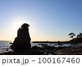 神奈川県横須賀市立石公園からの眺望、海岸にそびえ立つ巨岩と快晴の空 100167460