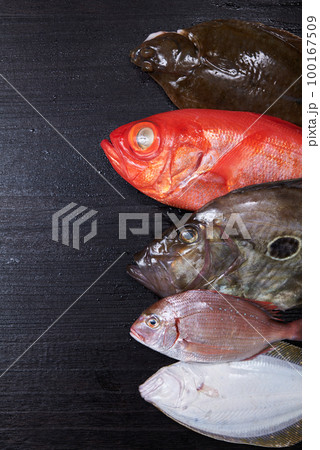 鮮魚　イメージ 100167509