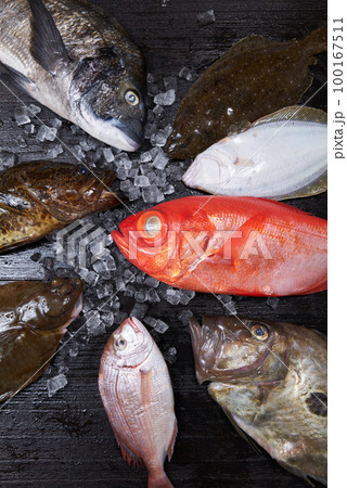 鮮魚　イメージ 100167511