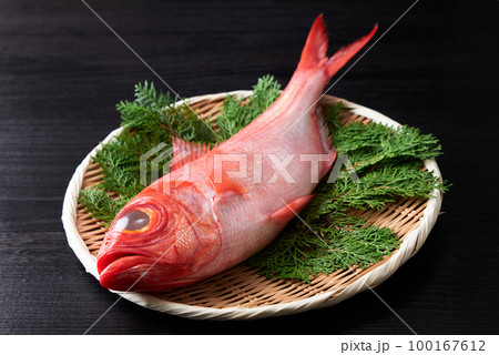 ザルに乗せた金目鯛 ザルに乗せた金目鯛 100167612