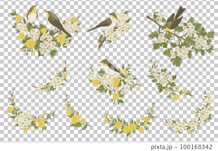 Set with birds and flowers. Blooming garden branches. Compositions with plant elements and birds. Flower garlands. Vintage illustration. Colorful. 100168342