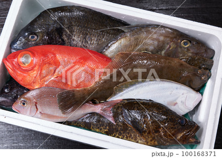 産地から直送された鮮魚の詰め合わせ 100168371
