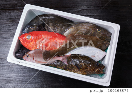 産地から直送された鮮魚の詰め合わせ 100168375