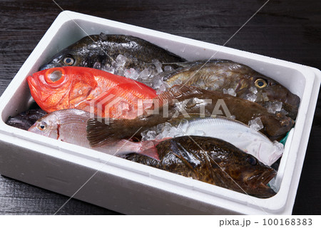 産地から直送された鮮魚の詰め合わせ 100168383