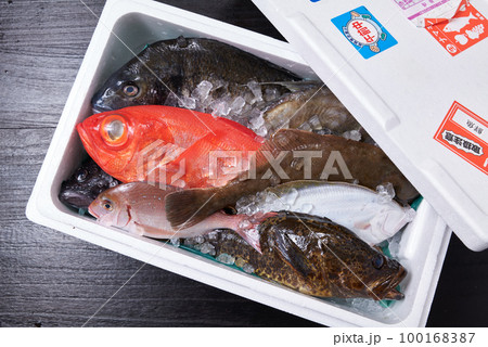 産地から直送された鮮魚の詰め合わせ 100168387