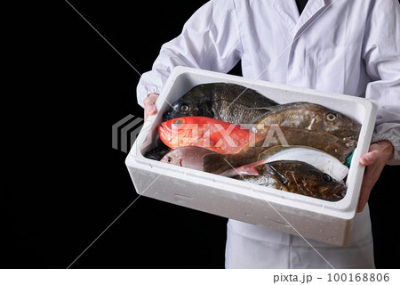 産地から届いた鮮魚を持つ板前 100168806
