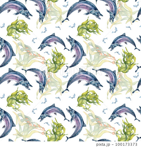 Seamless pattern of salmon and sea plants watercolor isolated on white. Seamless pattern of salmon and sea plants watercolor isolated on white. 100173373