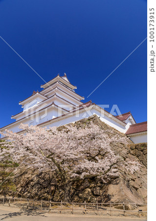 福島_鶴ヶ城と桜満開の絶景 100173915