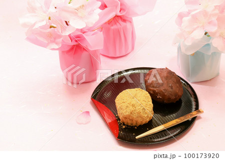 おはぎと桜の花びら_02 おはぎと桜の花びら_02 100173920
