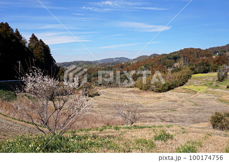 早春の棚田の風景【千葉県鴨川市】 100174756