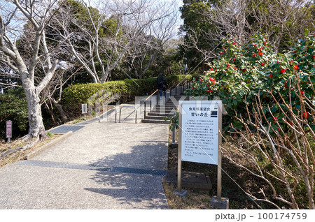 魚見塚展望台への遊歩道【千葉県鴨川市】 魚見塚展望台への遊歩道【千葉県鴨川市】 100174759