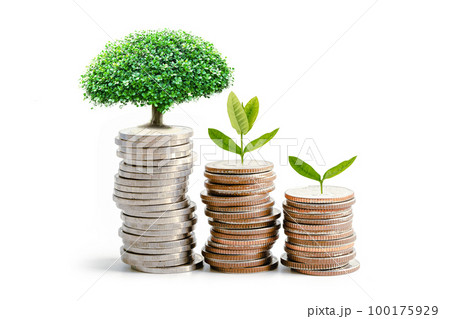 Tree plumule leaf on save money coins, Business finance saving banking investment concept. Tree plumule leaf on save money coins, Business finance saving banking investment concept. 100175929