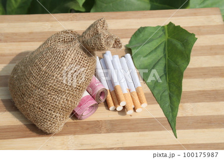 tobacco farm with money bag and cigarette for harvest tobacco farm with money bag and cigarette for harvest 100175987