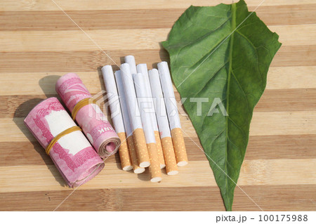 tobacco farm with bank note and cigarette for harvest tobacco farm with bank note and cigarette for harvest 100175988