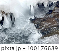 氷の芸術 100176689