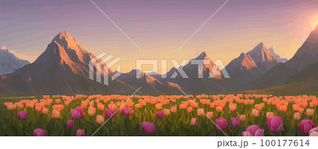 A field of tulips against the backdrop of mountains. Spring banner vector illustration. huge field of colorful tulips. Behind the field is a mountain range. Sunset. clouds of orange 100177614
